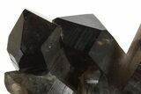 Wide, Natural Smoky Quartz Cluster - Brazil #229537-1